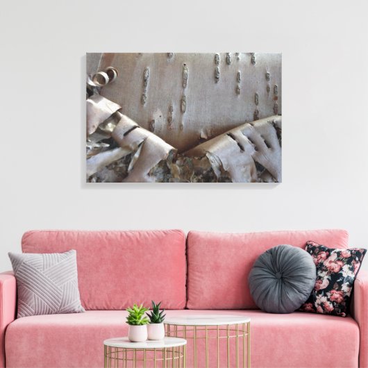 Curly Birch Bark Tree Rustic Leinwanddruck (Insitu (Wohnzimmer))