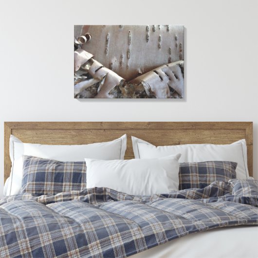 Curly Birch Bark Tree Rustic Leinwanddruck (Insitu (Schlafzimmer))