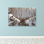Curly Birch Bark Tree Rustic Leinwanddruck (Insitu (Holzboden))