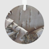 Curly Birch Bark Tree Rustic Ornament (Rückseite)