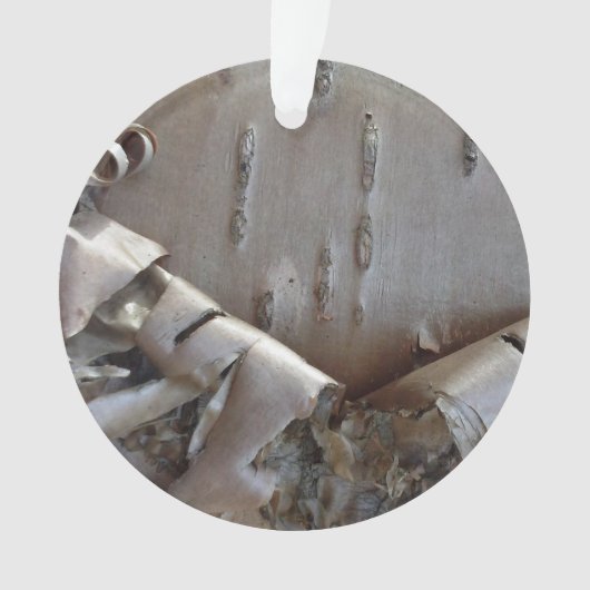 Curly Birch Bark Tree Rustic Ornament (Vorderseite)
