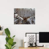 Curly Birch Bark Tree Rustic Poster (Heimbüro)