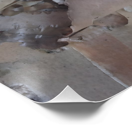 Curly Birch Bark Tree Rustic Poster (Ecke)