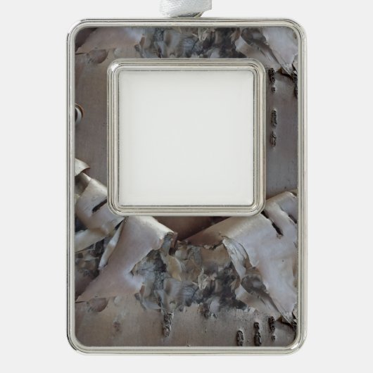 Curly Birch Bark Tree Rustic Rahmen-Ornament Silber (Vorderseite)