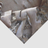 Curly Birch Bark Tree Rustic Seidenpapier (Ausschnitt)