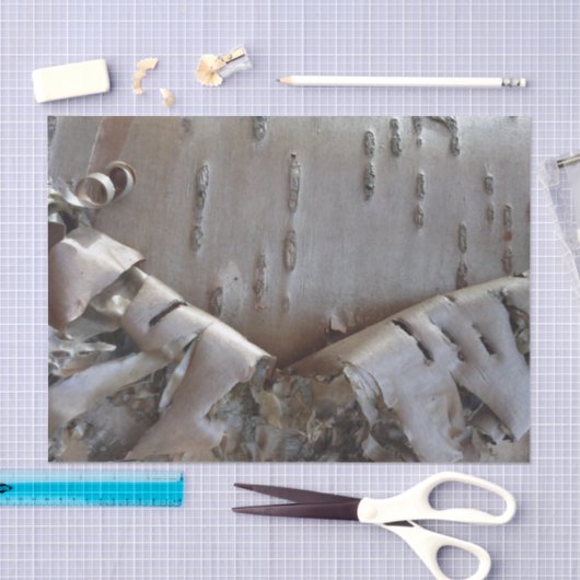 Curly Birch Bark Tree Rustic Seidenpapier (Handwerk)