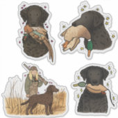 Curly Coated Retriever Autoaufkleber Aufkleber (Vorderseite)