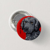 Curly Coated Retriever Color Block Button (Vorne & Hinten)