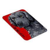 Curly Coated Retriever Color Block Magnet (Rechte Seite)
