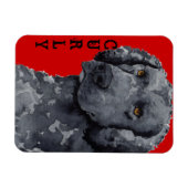 Curly Coated Retriever Color Block Magnet (Horizontal)