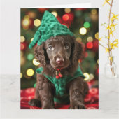 Curly Coated Retriever Elf Welpe Weihnachtskarte Karte (Gelbe Blume)
