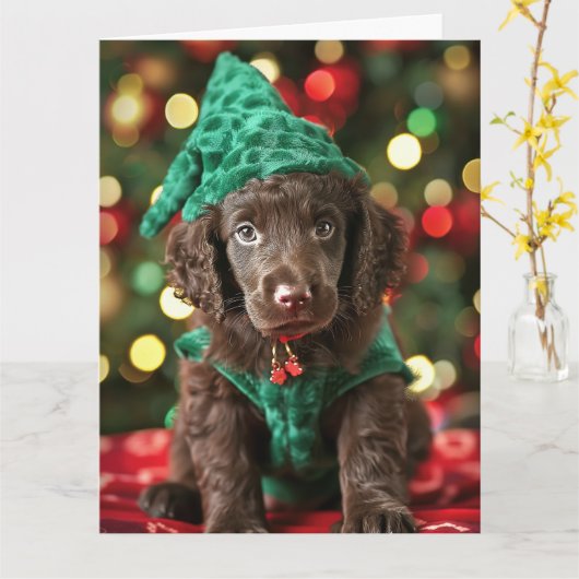 Curly Coated Retriever Elf Welpe Weihnachtskarte Karte (Gelbe Blume)