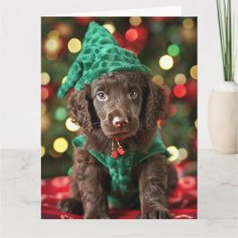 Curly Coated Retriever Elf Welpe Weihnachtskarte Karte