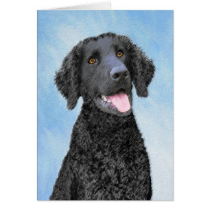 Curly Coated Retriever Painting - Original Dog Art