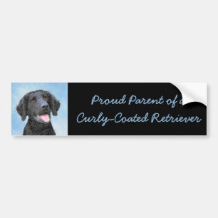 Curly Coated Retriever Painting - Original Dog Art Autoaufkleber