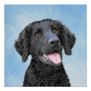 Curly Coated Retriever Painting - Original Dog Art Poster