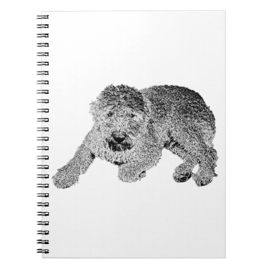 Curly Dog Notebook – Lying Pose in Black & White Notizblock (Vorderseite)