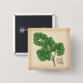 Curly Parsley Herb Button (Vorne & Hinten)