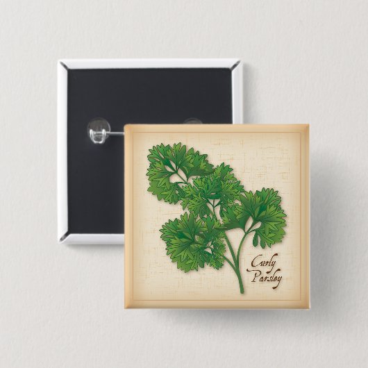 Curly Parsley Herb Button (Vorne & Hinten)