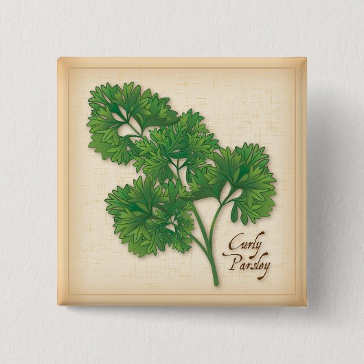 Curly Parsley Herb Button (Vorderseite)