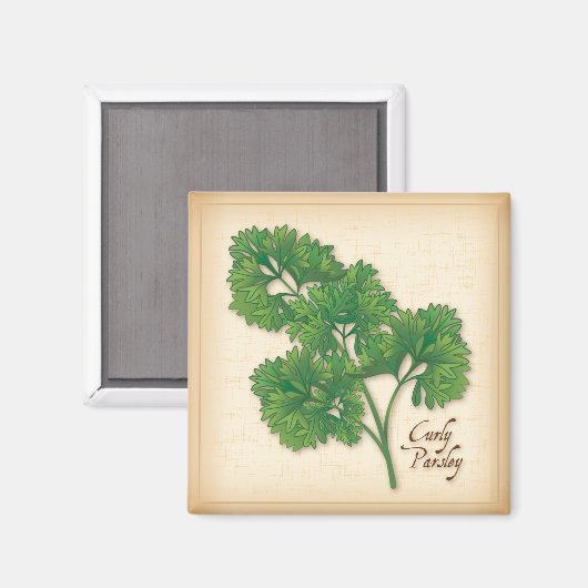 Curly Parsley Herb Magnet (Vorderseite/Rückseite)