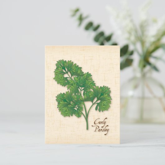 Curly Parsley Herb Postcard anpassen Postkarte (Stehend Vorderseite)