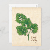 Curly Parsley Herb Postcard anpassen Postkarte (Vorne/Hinten)
