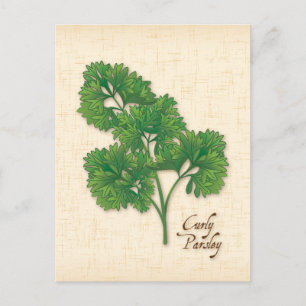 Curly Parsley Herb Postcard anpassen Postkarte