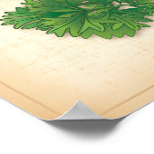 Curly Parsley Herb Poster (Ecke)