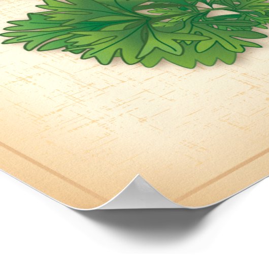 Curly Parsley Herb Poster (Ecke)