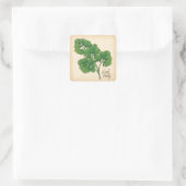 Curly Parsley Herb Square Sticker (Tasche)