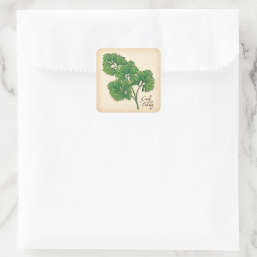 Curly Parsley Herb Square Sticker (Tasche)