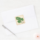 Curly Parsley Herb Square Sticker (Umschlag)