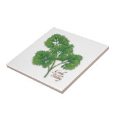 Curly Parsley Keramik Tile Fliese (Seite)
