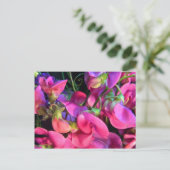 Curly Que Postkarte (Stehend Vorderseite)