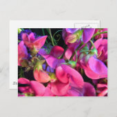 Curly Que Postkarte (Vorne/Hinten)