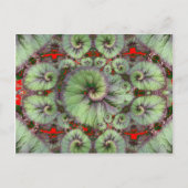 Curly Snail Begonia Geschenke von Sharles Postkarte (Vorderseite)