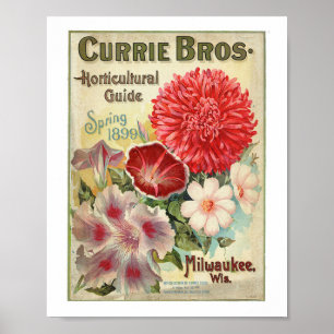 Currie Bros Gartenbauführer 1899 Poster