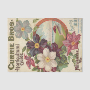 Currie Bros Garticultural Guide, 1899 Vintag Seidenpapier