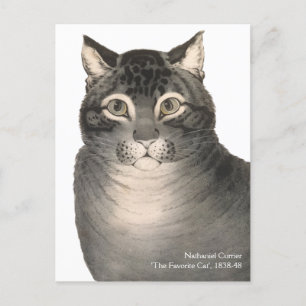 Currier & Ives Cat Niedliche Viktorianische Kunst Postkarte