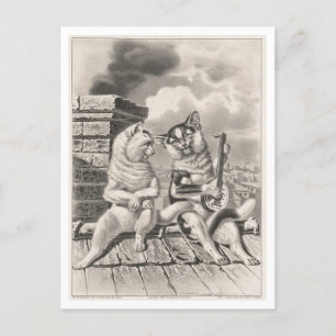Currier & Ives Cat Serenade Postkarte