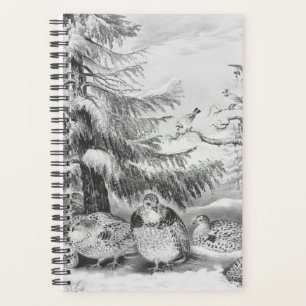 Currier Ives Vintag Winter Evergreens Birds Planer
