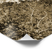 Currituck Lighthouse Poster (Ecke)