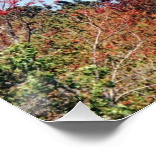 Currituck Lighthouse Poster (Ecke)