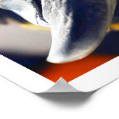 Curry Colorful Macaw Poster (Ecke)