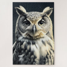 Curry Owl