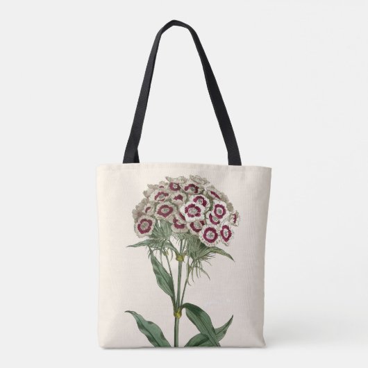 Curtis botanisch tasche (Rückseite)