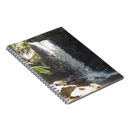 Curtis Falls Notizblock (Rechte Seite)