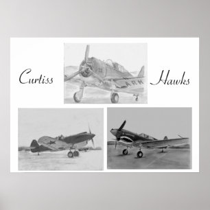 Curtiss Hawk Familienposter Poster