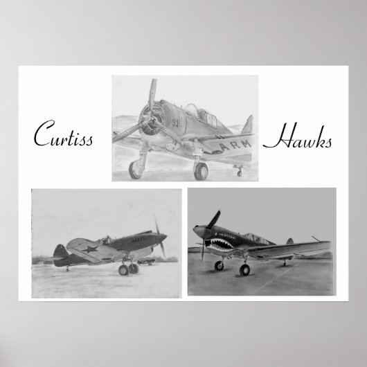 Curtiss Hawk Familienposter Poster (Vorne)